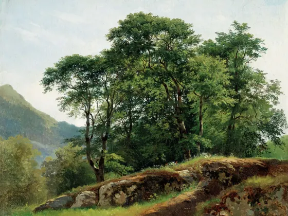 肉質画　風景画 希施金油画风景《水青冈树林》 - 油画高清图片下载- 集古作网